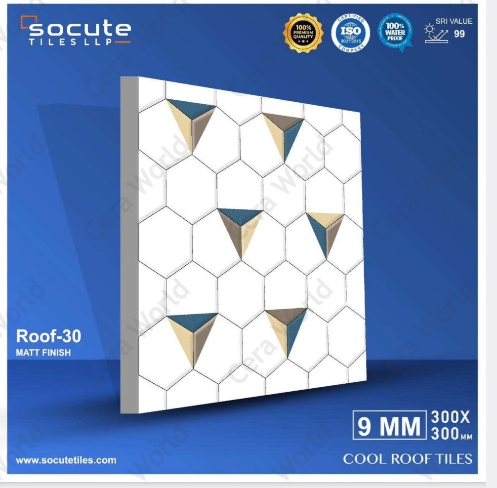 products/ROOF 30.jpg